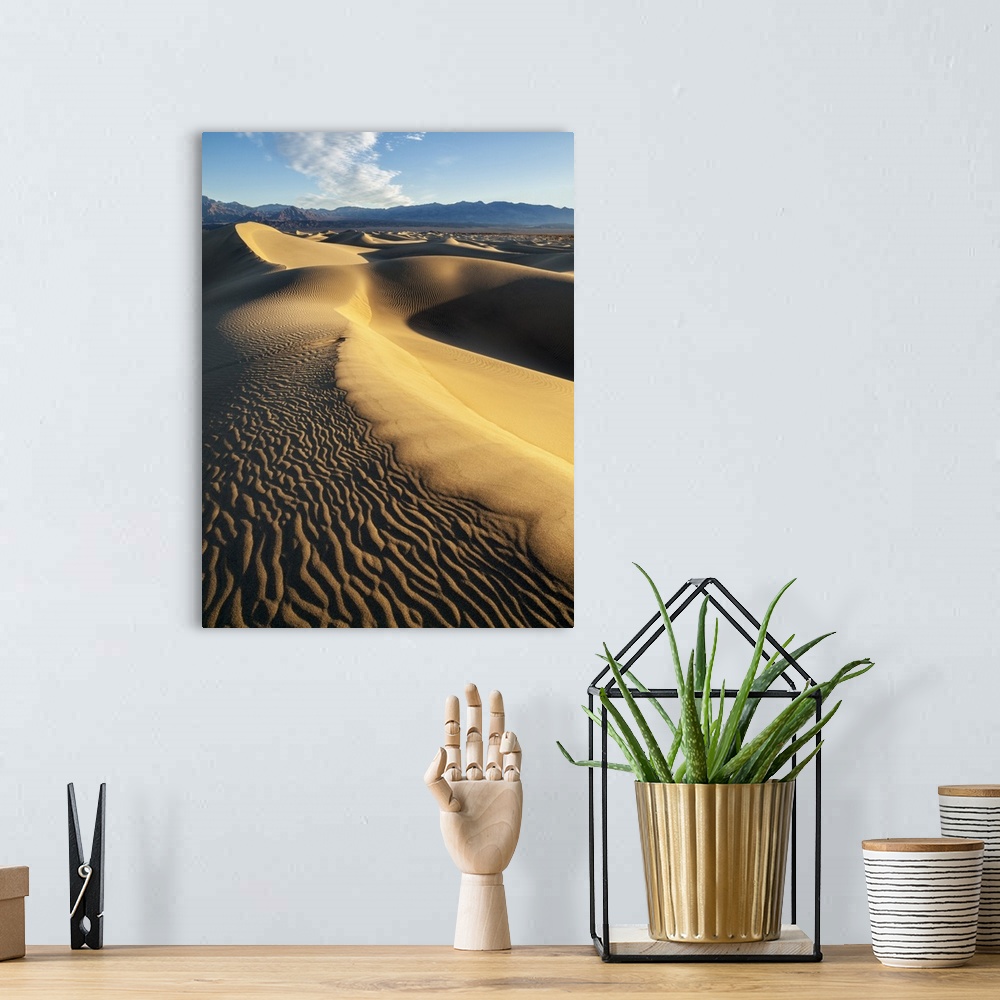 A bohemian room featuring USA, California, Death Valley National Park, Early morning sun hits Mesquite Flat Dunes