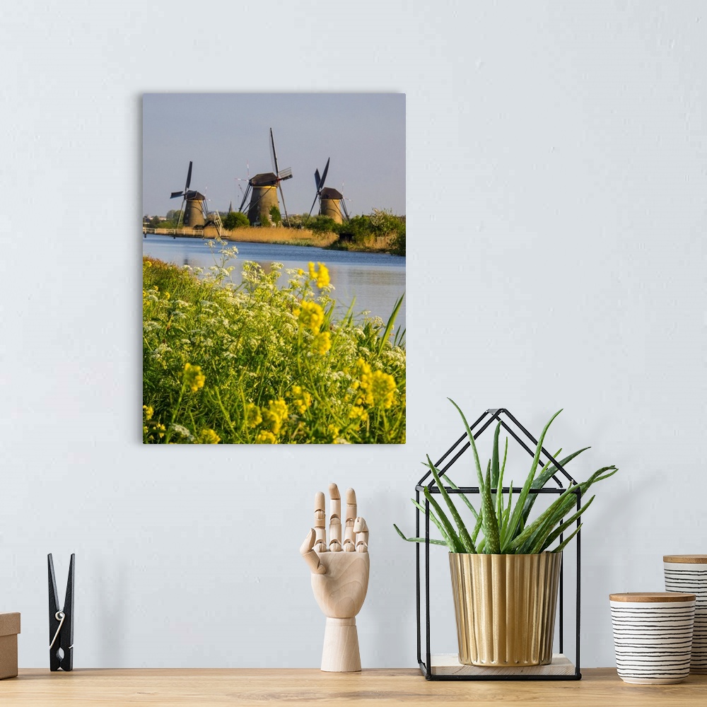 A bohemian room featuring Europe, Netherleands, Kinderdyk, Windmills with evening light along the canals of Kinderdijk.