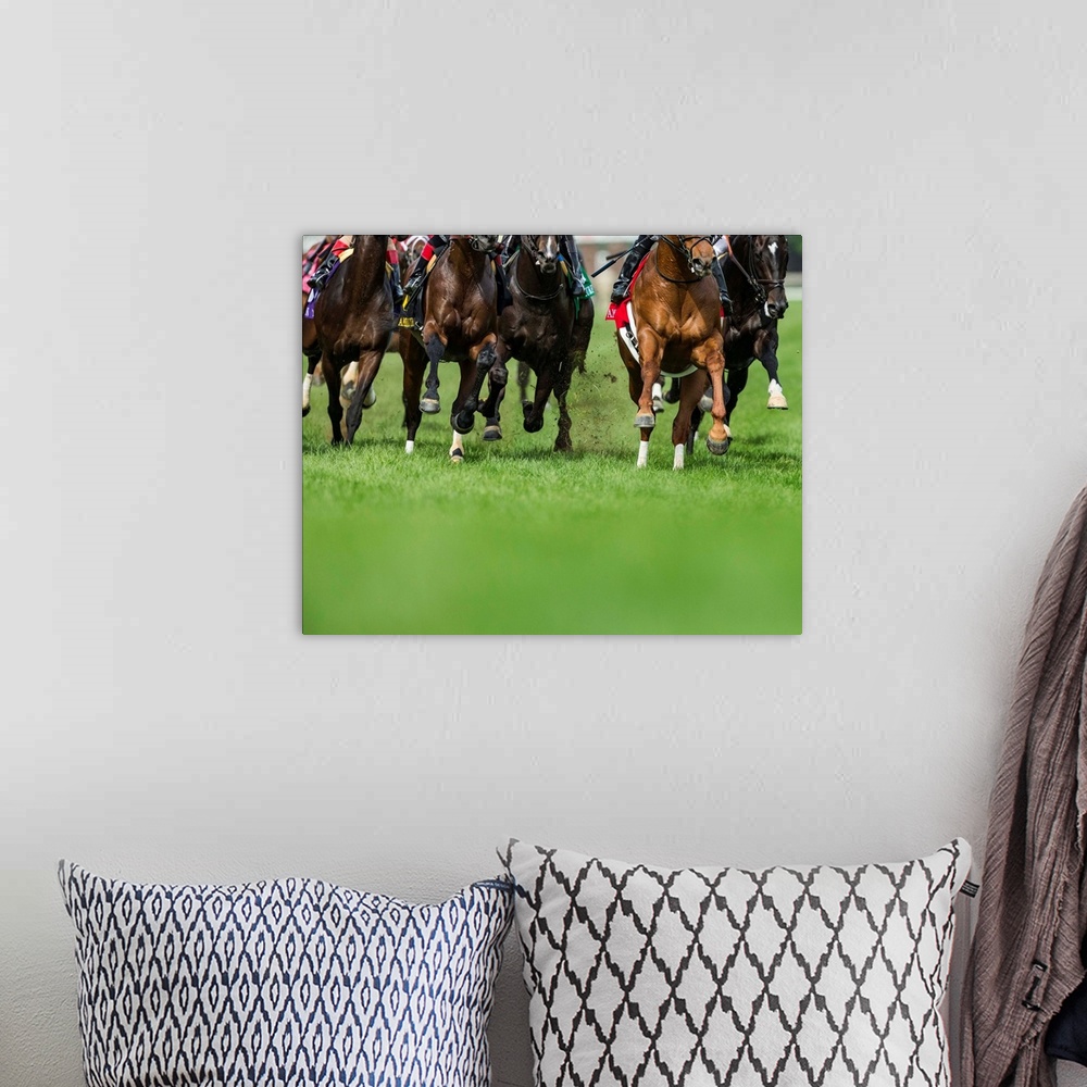 A bohemian room featuring Grass turf horse racing