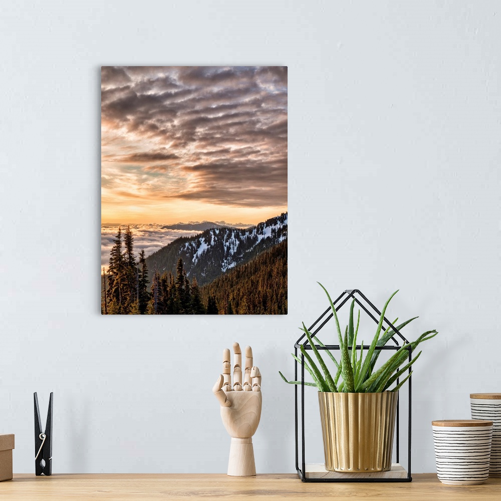A bohemian room featuring USA, Washington, Olympic National Park, View looking northeast from road to Hurricane Ridge