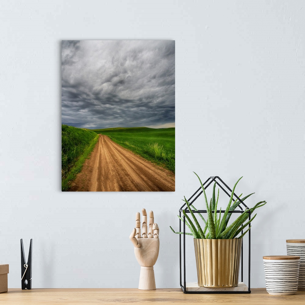 A bohemian room featuring North America, USA, Washington, Palouse Country, Stormy Day Traveling through Country Backroad