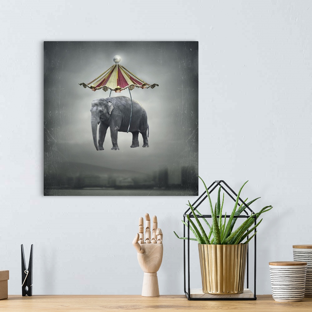 A bohemian room featuring Fantasy image that represents a flying elephant with circus tent in the sky and landscape.