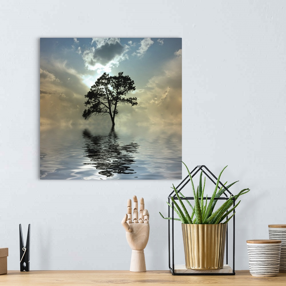 A bohemian room featuring Tree and water.