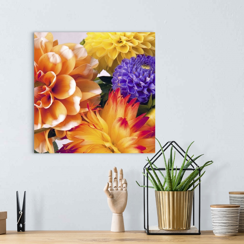 A bohemian room featuring Background with two dahlias.