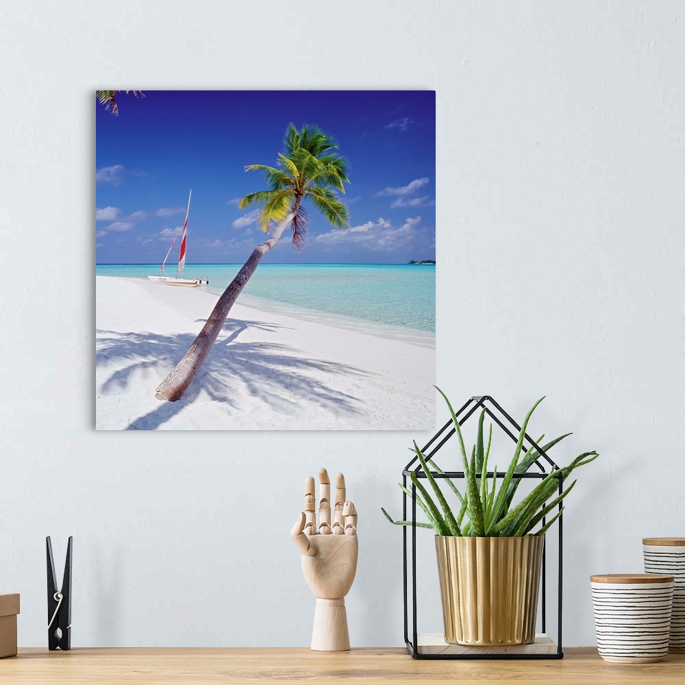 A bohemian room featuring Asia, Maldives, Palm tree and catamaran