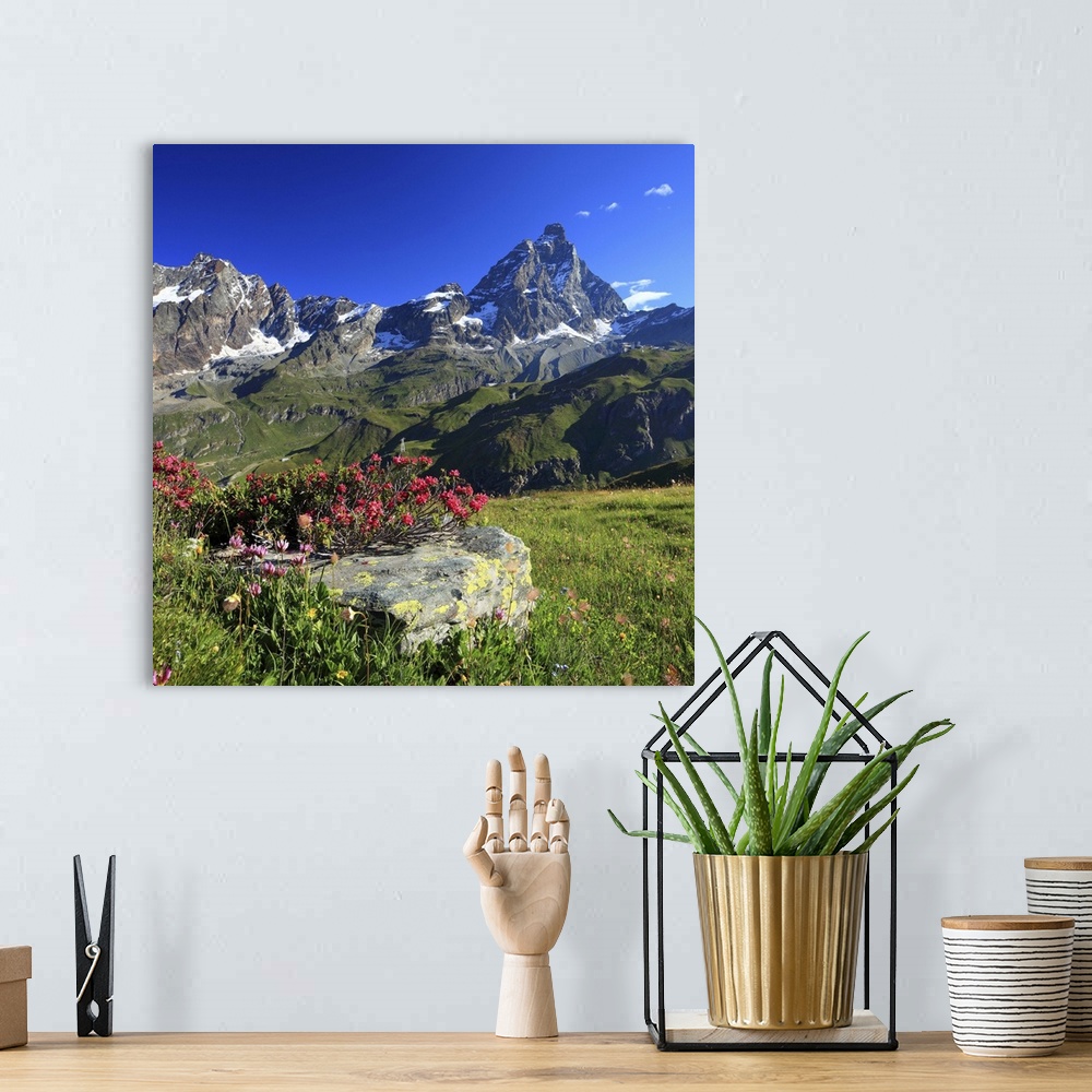 A bohemian room featuring Italy, Aosta Valley, Mediterranean area, Alps, Aosta district, Valtournenche, Summer morning, rho...