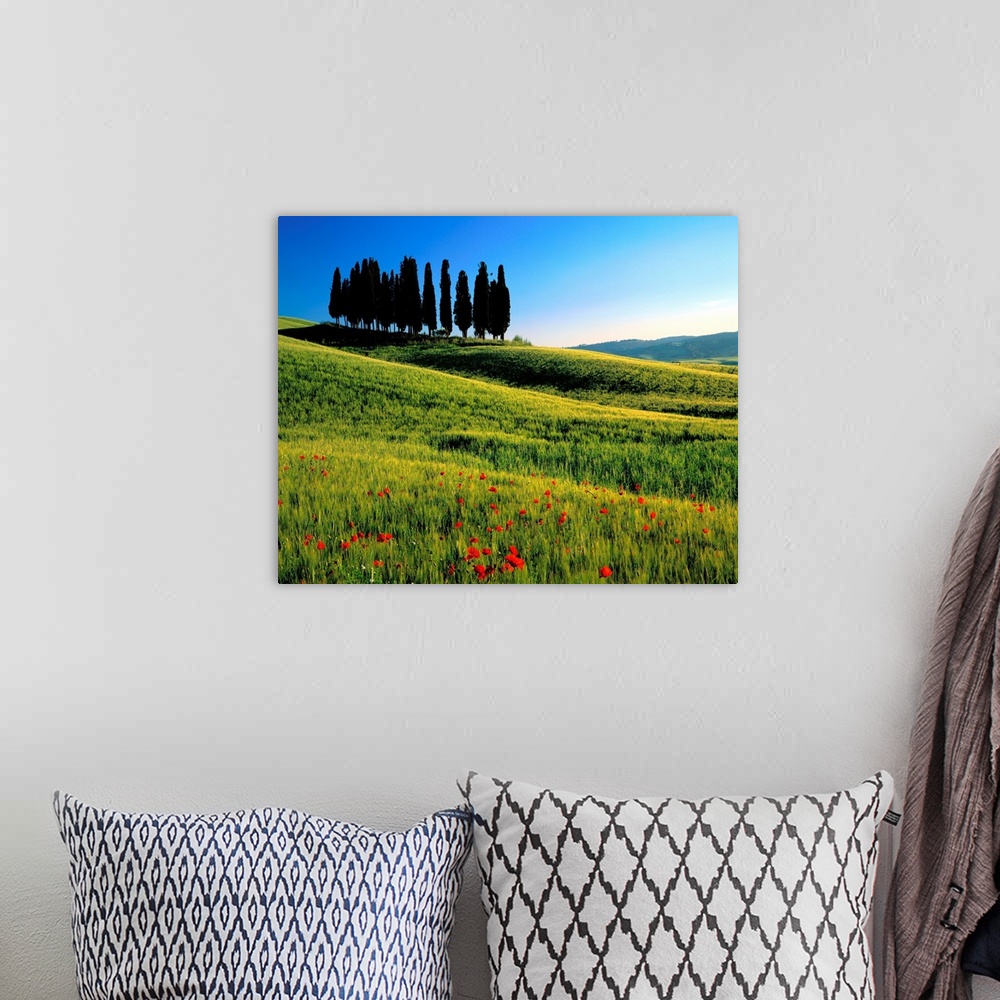 A bohemian room featuring Italy, Tuscany, Cypress trees on typical landscape