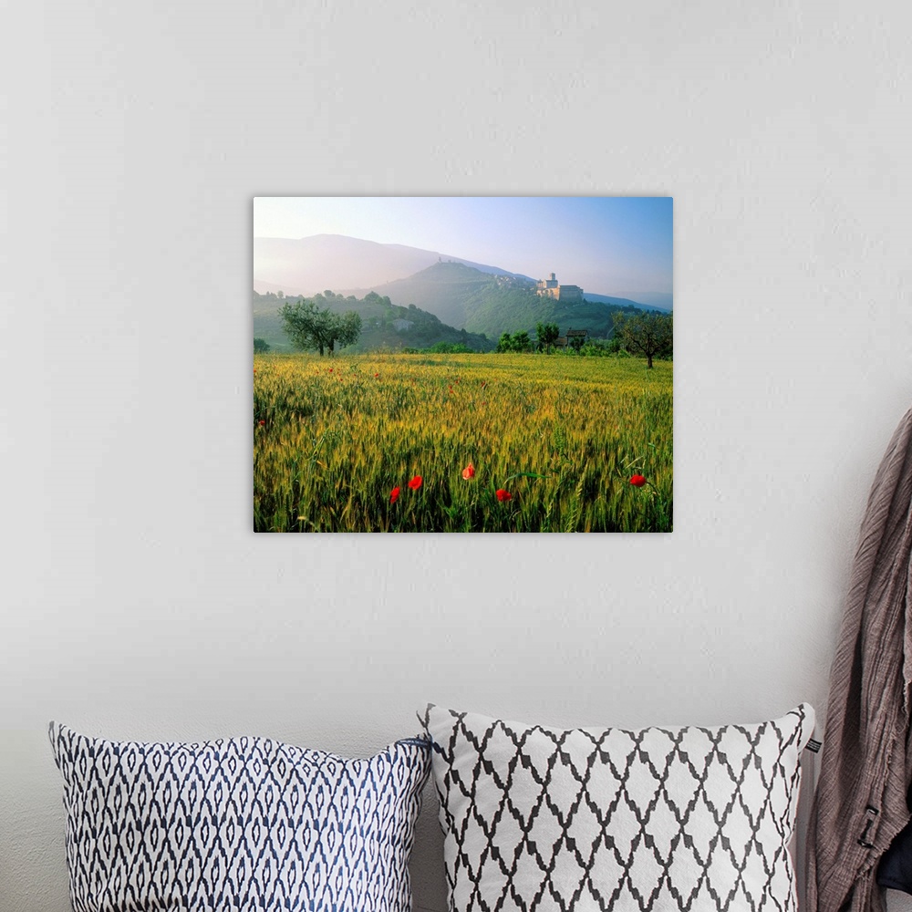 A bohemian room featuring Italy, Umbria, Assisi, view of the hill, Basilica of San Francesco