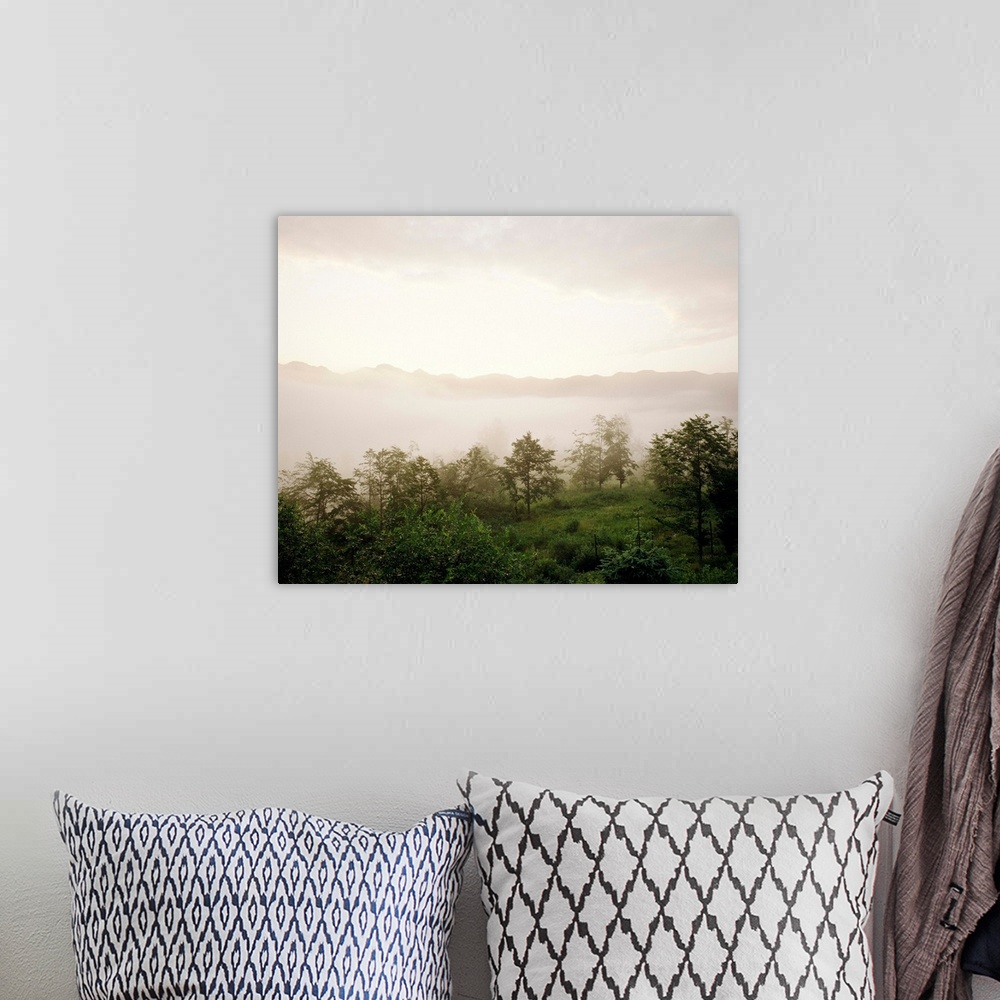 A bohemian room featuring Italy, Veneto, Foresta del Cansiglio, forest and fog at sunset
