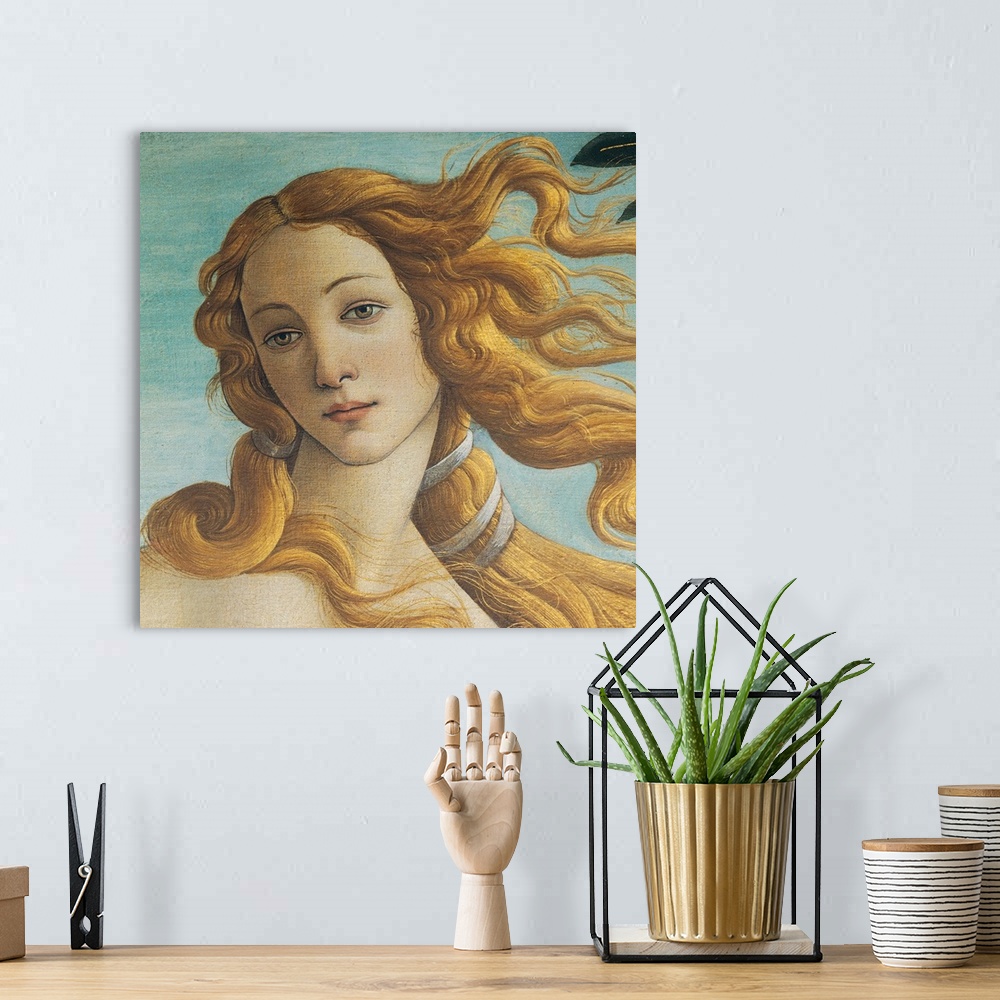 Exploring the Birth of Venus Painting by Botticelli