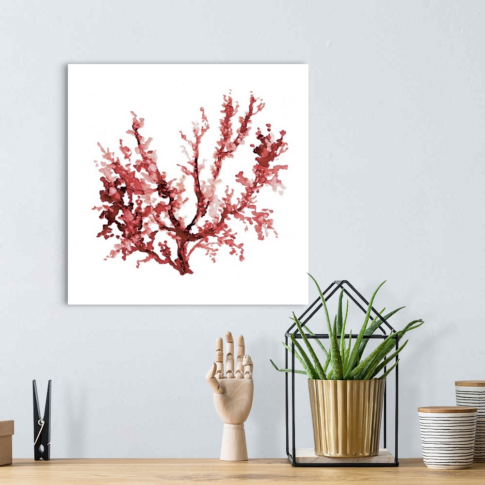 A bohemian room featuring Square watercolor painting of red coral on a solid white background.