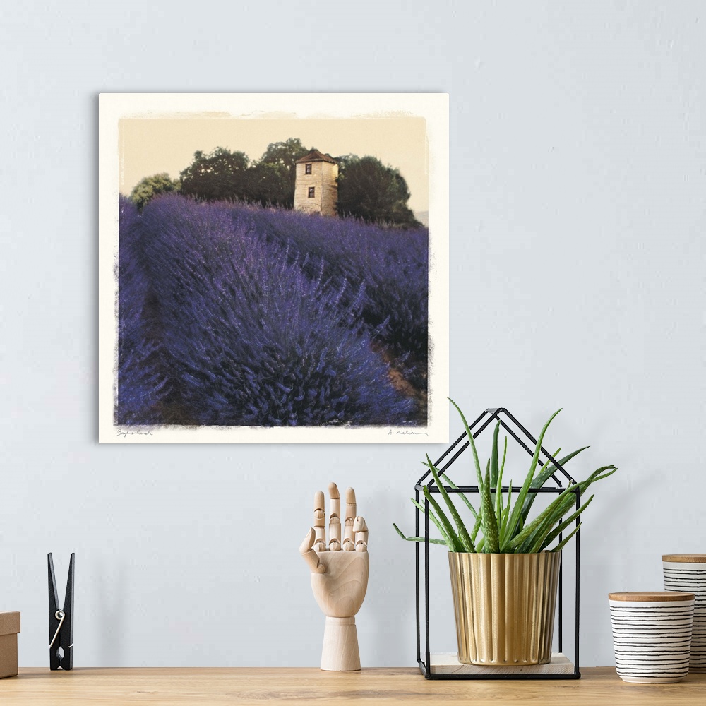 A bohemian room featuring Big canvas art showing a vast field of purple flowers with a small farm or ranch house and forest...