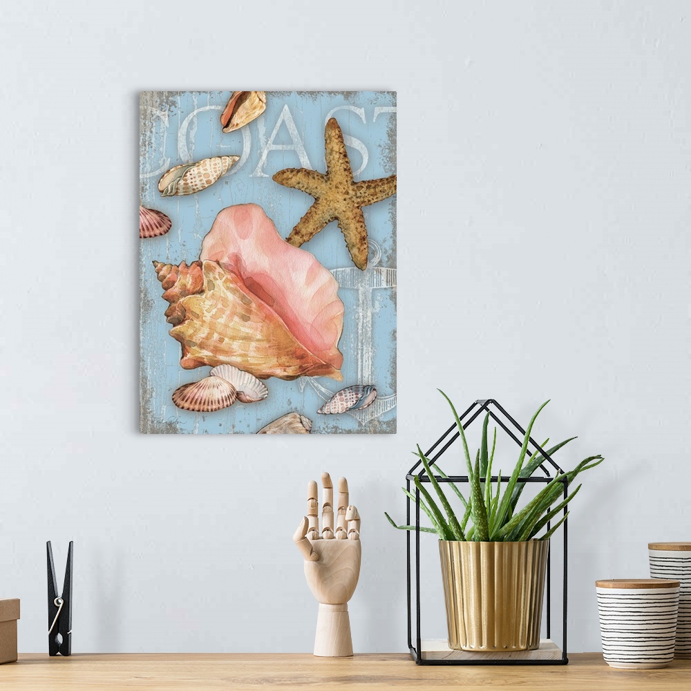 A bohemian room featuring Beach themed decor with seashells and a starfish on a light blue background with the word "Coast"...