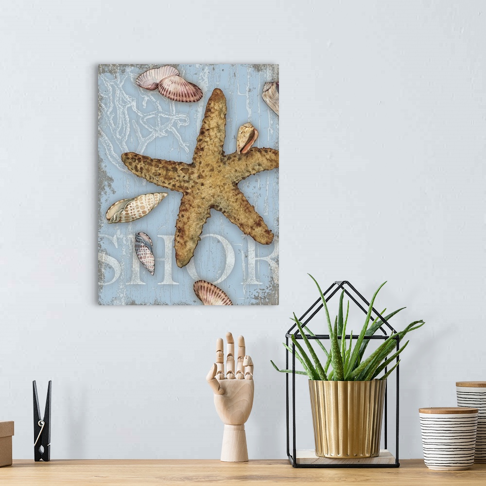 A bohemian room featuring Beach themed decor with seashells and a starfish on a light blue background with the word "Shore"...