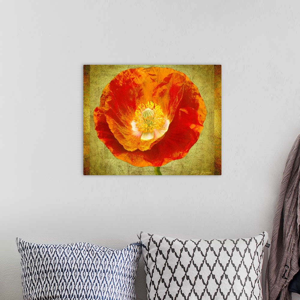 A bohemian room featuring Huge contemporary art focuses on the top of a brightly colored flower against a delicate earth to...