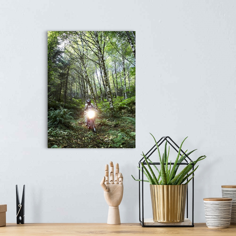 A bohemian room featuring Biker riding through forest with headlight