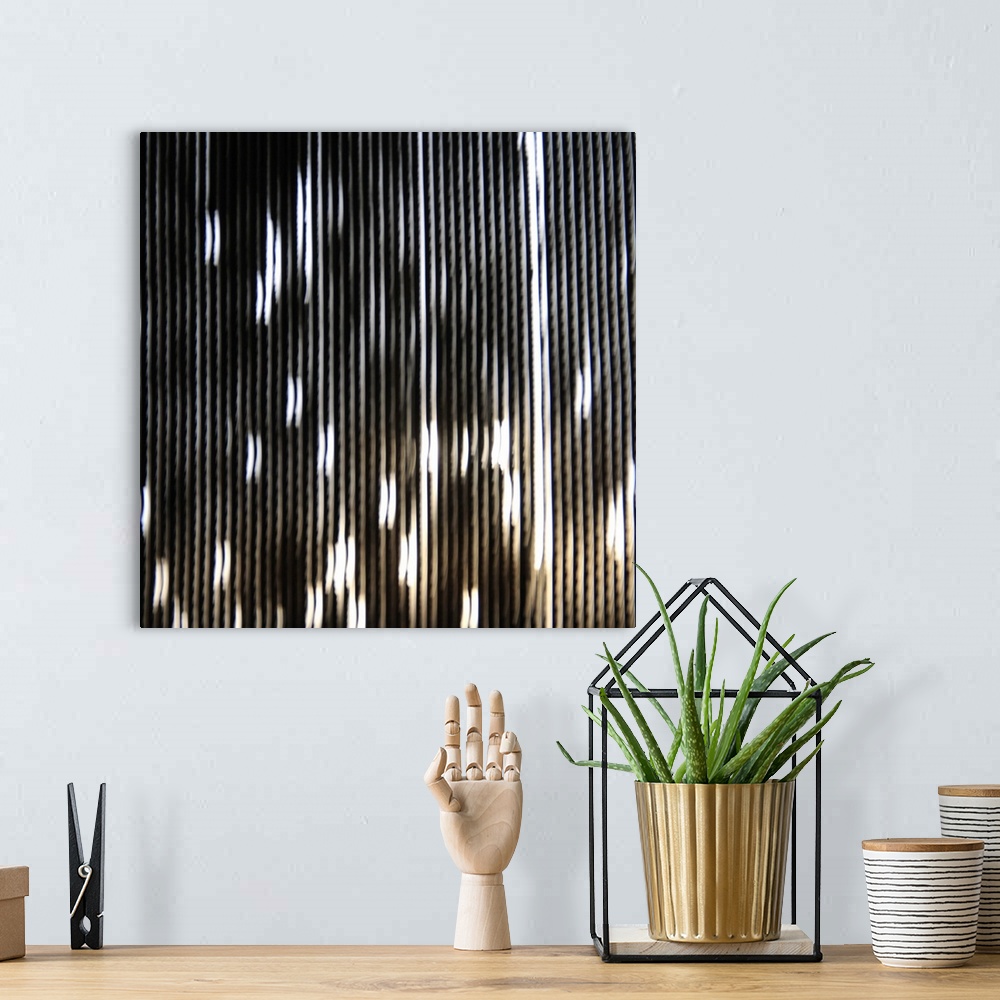 A bohemian room featuring Black and Brown Striped Abstract