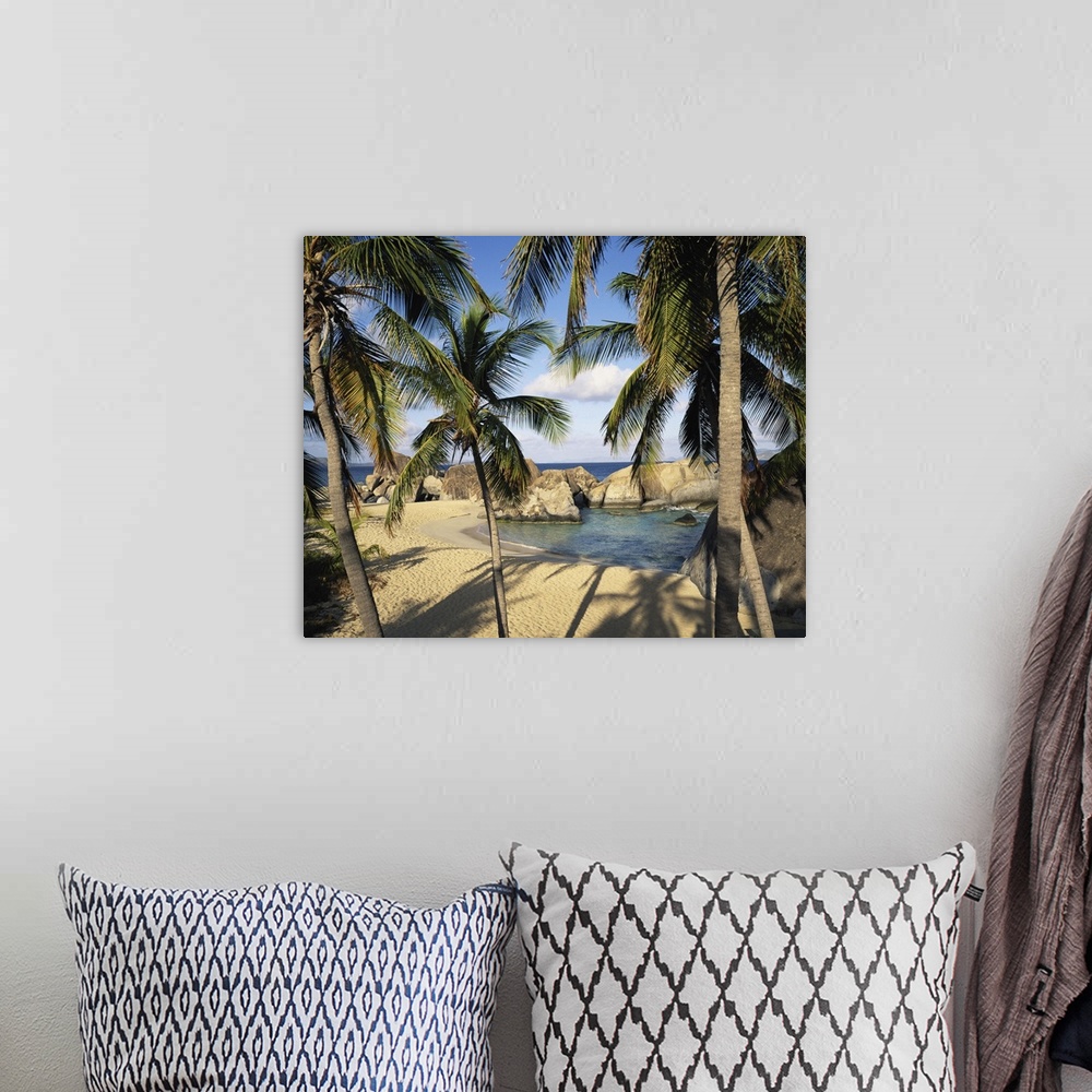 A bohemian room featuring British Virgin Islands, Virgin Gorda, palm trees by Spring Bay