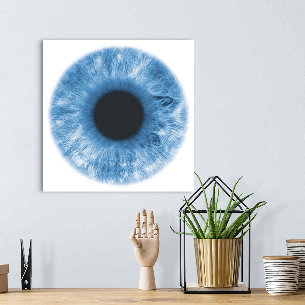 A bohemian room featuring Eye, negative image, with blue-green iris
