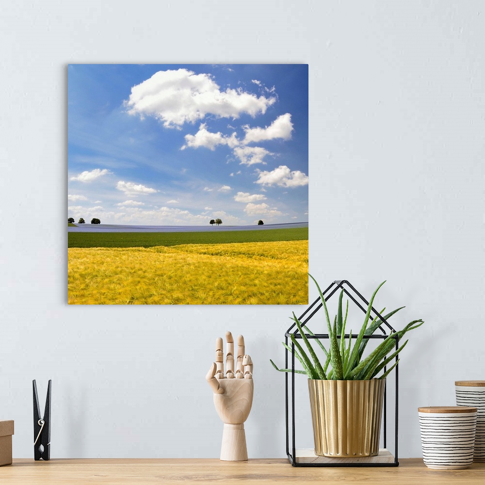 A bohemian room featuring Fields of barley, wheat and flax against sky.