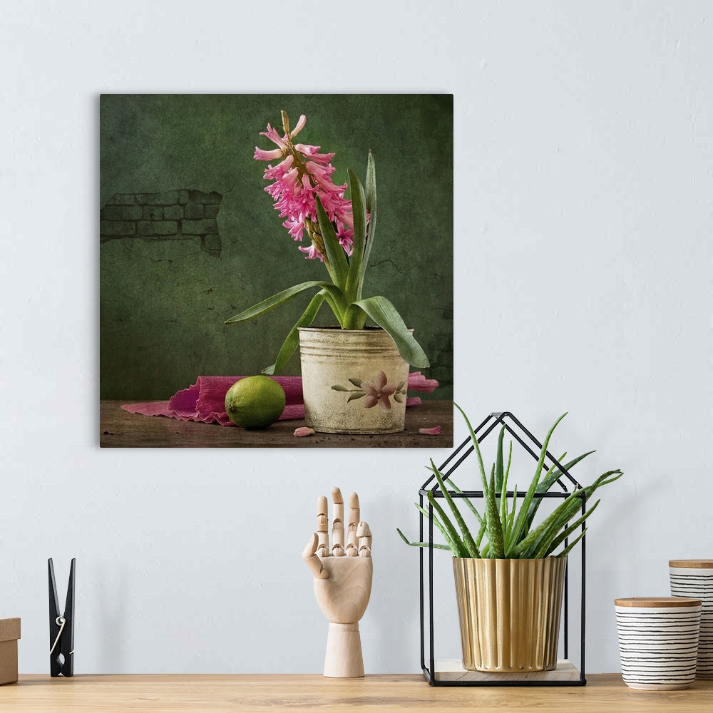 A bohemian room featuring Square still life with hyacinth and lime.