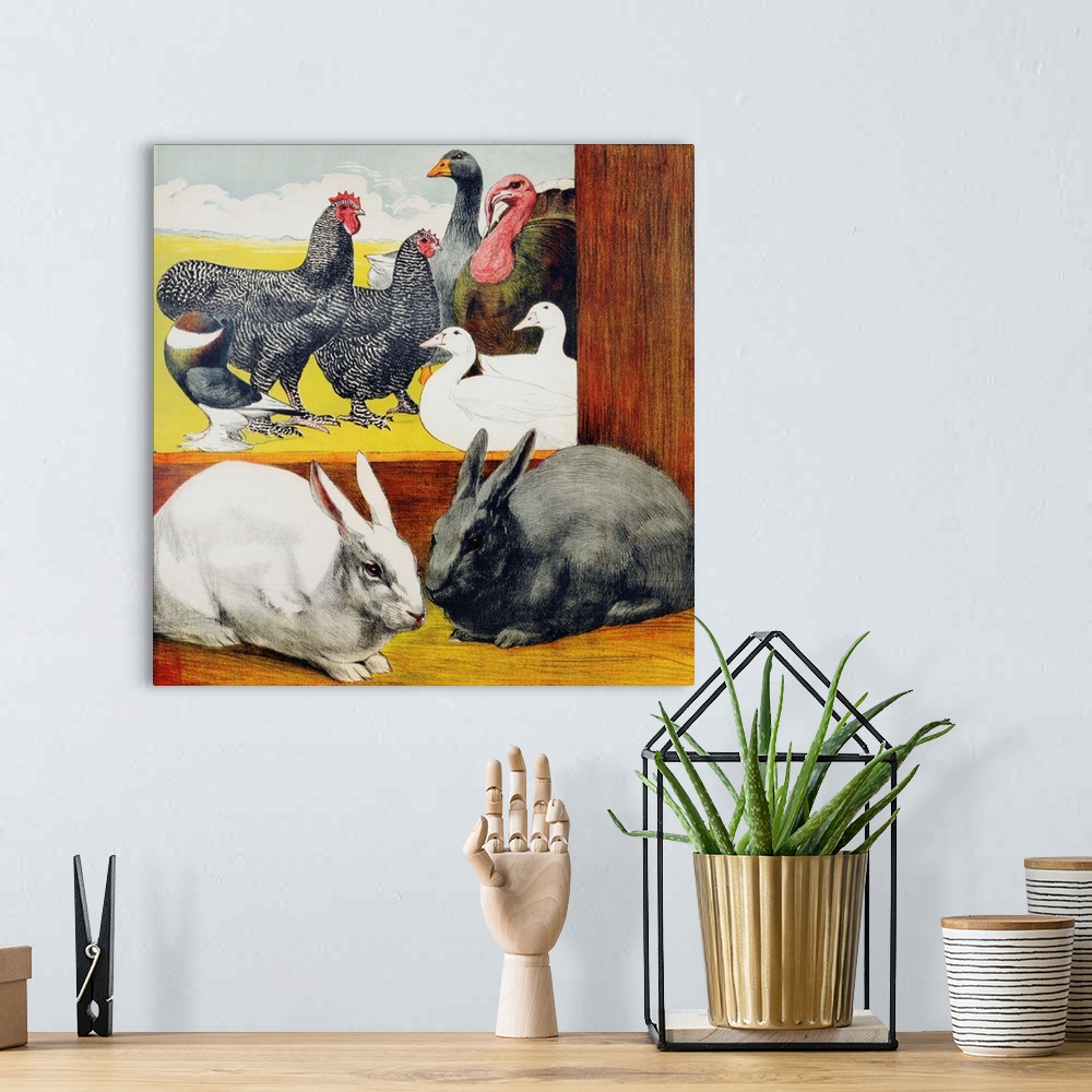A bohemian room featuring Illustration Depicting Rabbits And Farm Birds