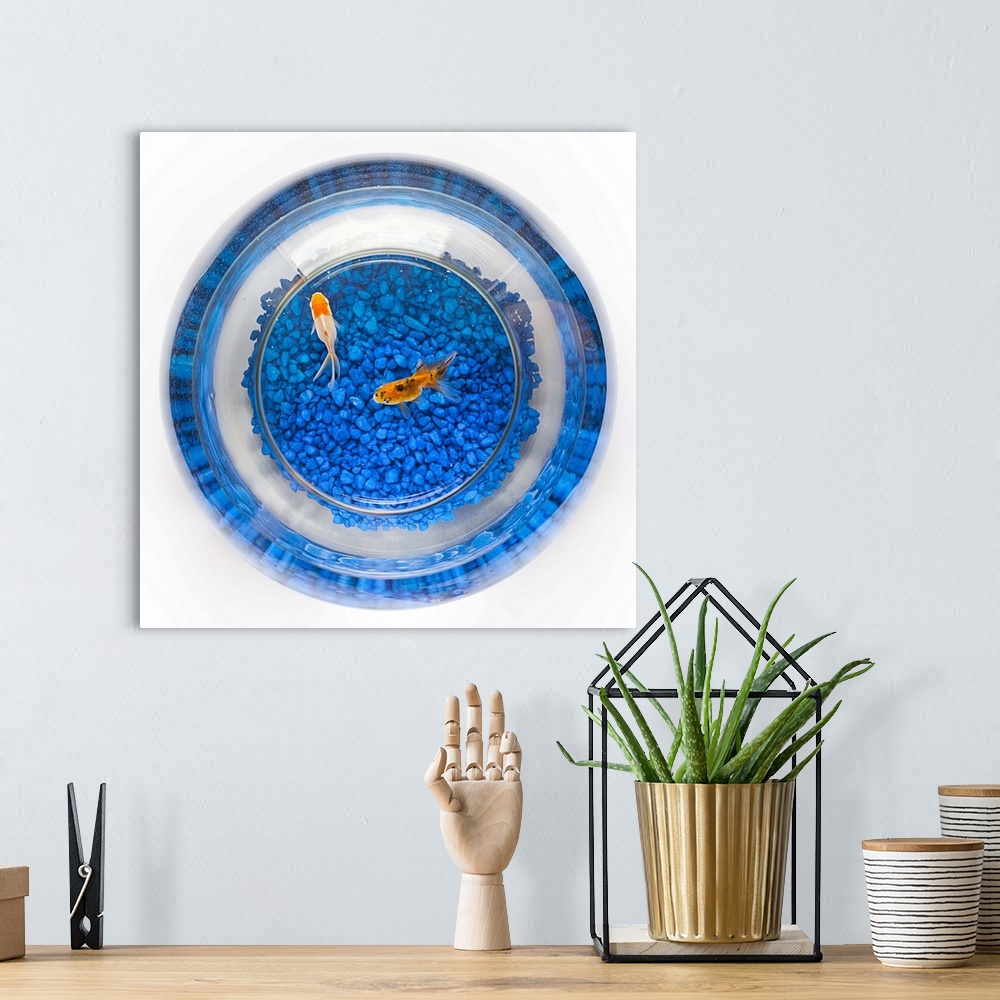 A bohemian room featuring Fishbowl with blue stones and two orange goldfish.