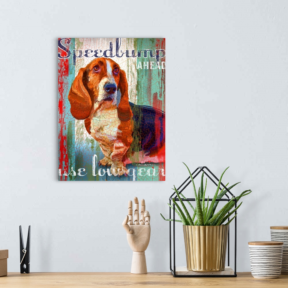 A bohemian room featuring Basset Hound