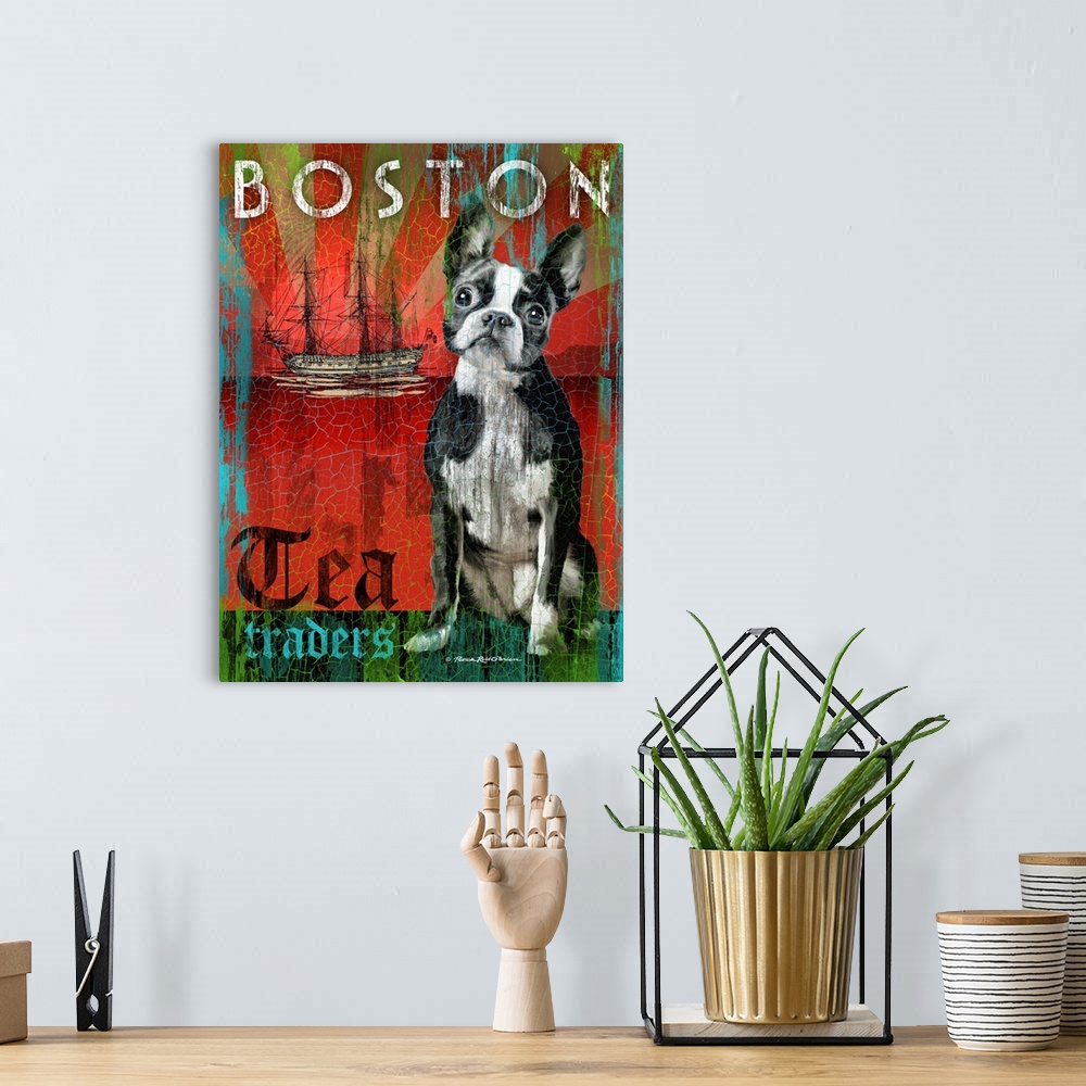 A bohemian room featuring Boston Terrier