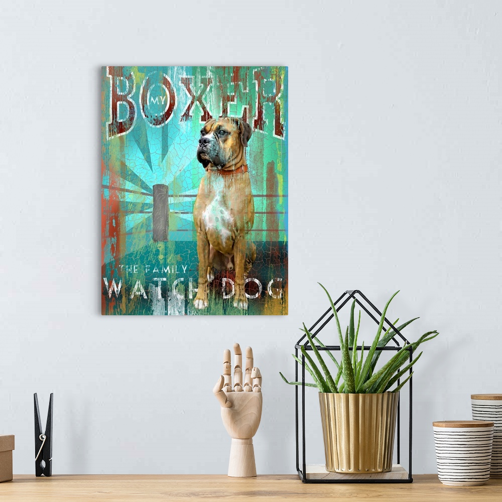 A bohemian room featuring Boxer No Man