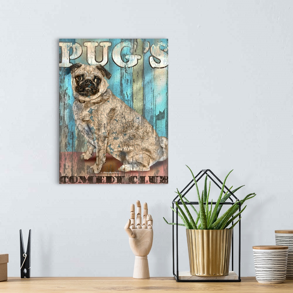 A bohemian room featuring Pugs