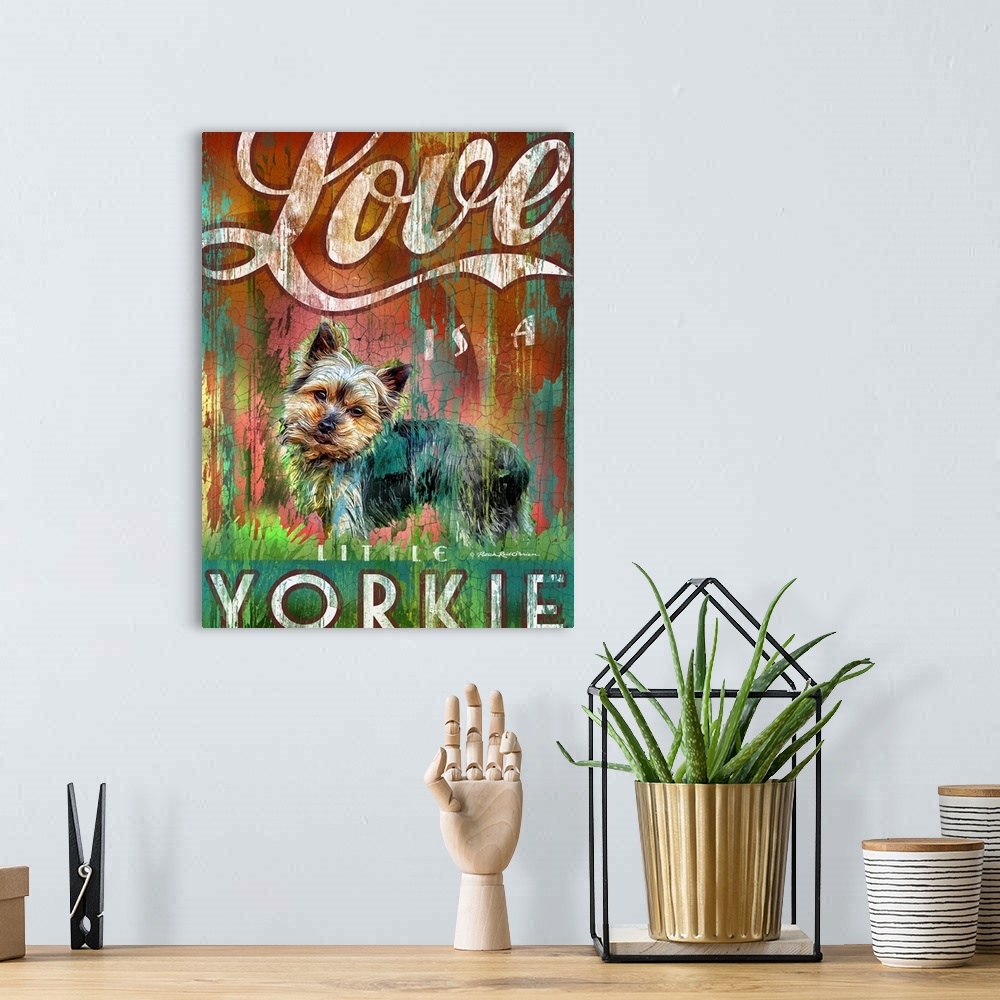 A bohemian room featuring Yorkie