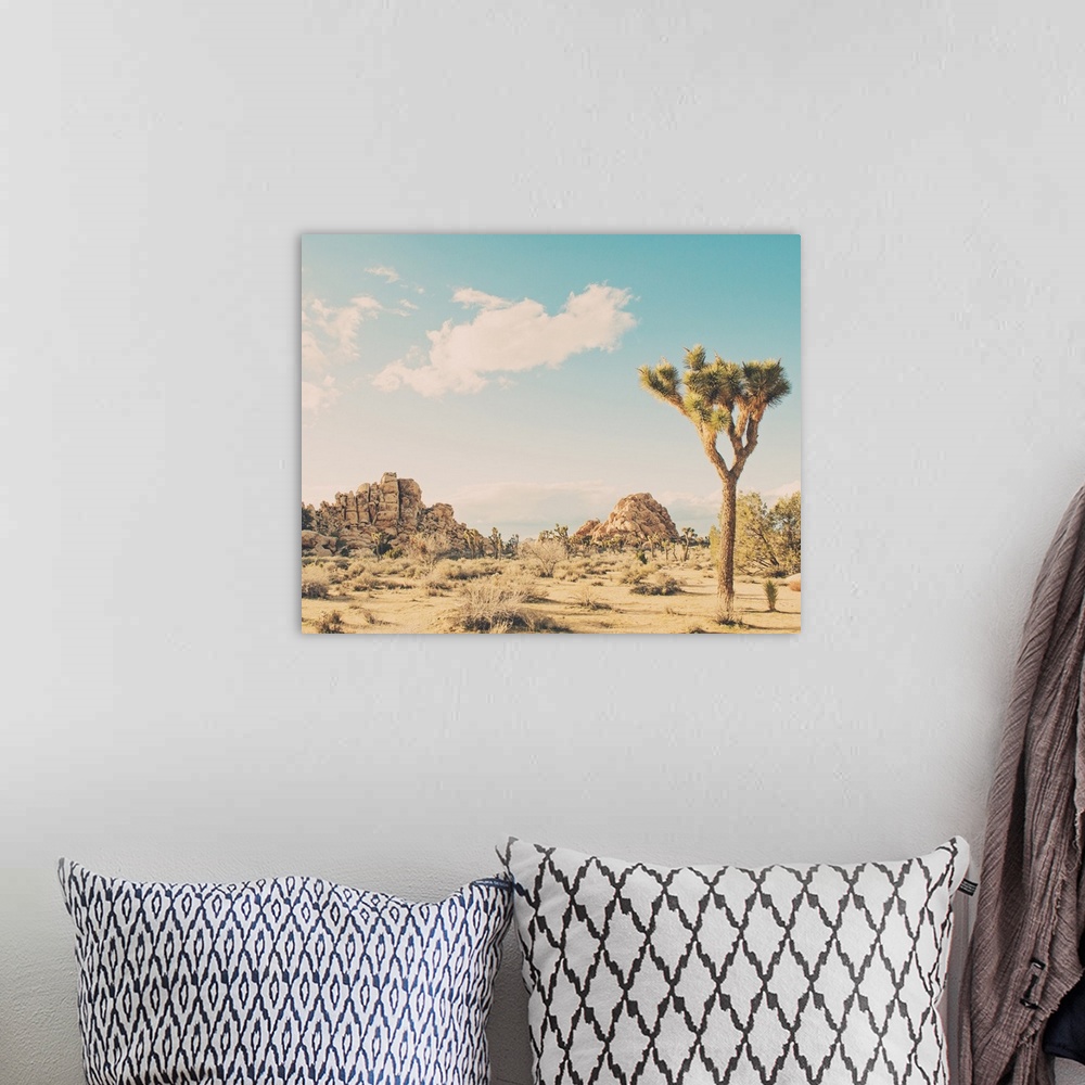 A bohemian room featuring Winter in the Desert No. 3