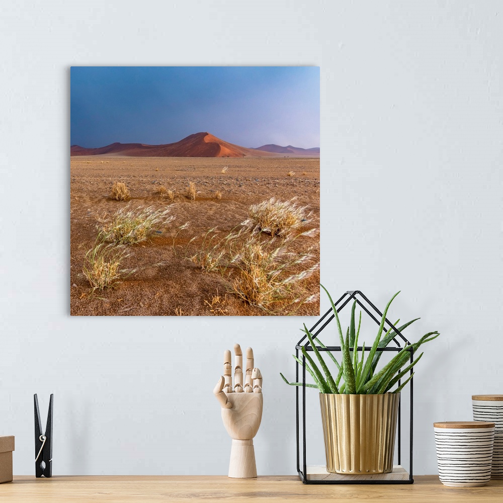 A bohemian room featuring Africa, Namibia, Sossusvlei area. Thunderstorm in the desert.