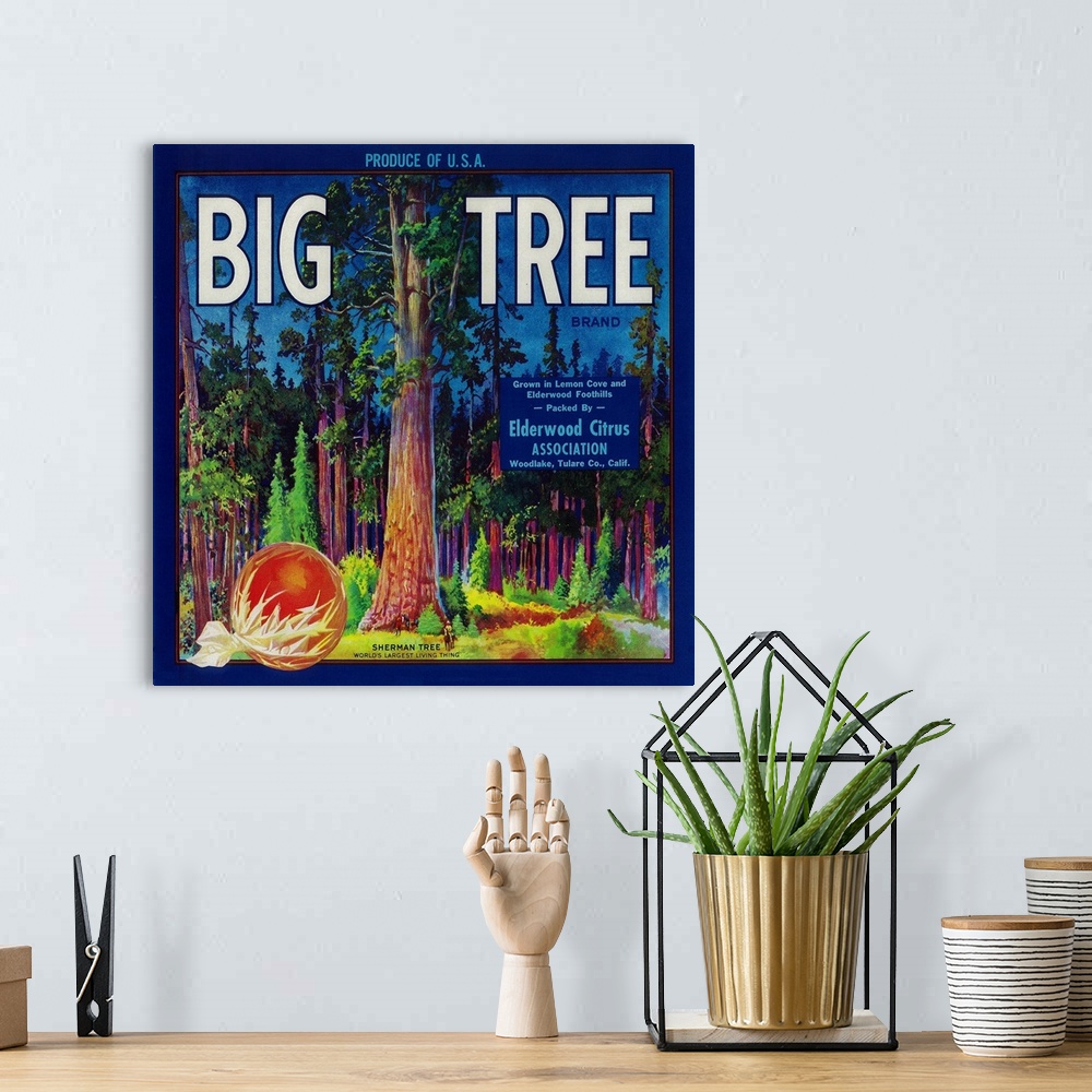 A bohemian room featuring Big Tree Orange Label, Woodlake, CA