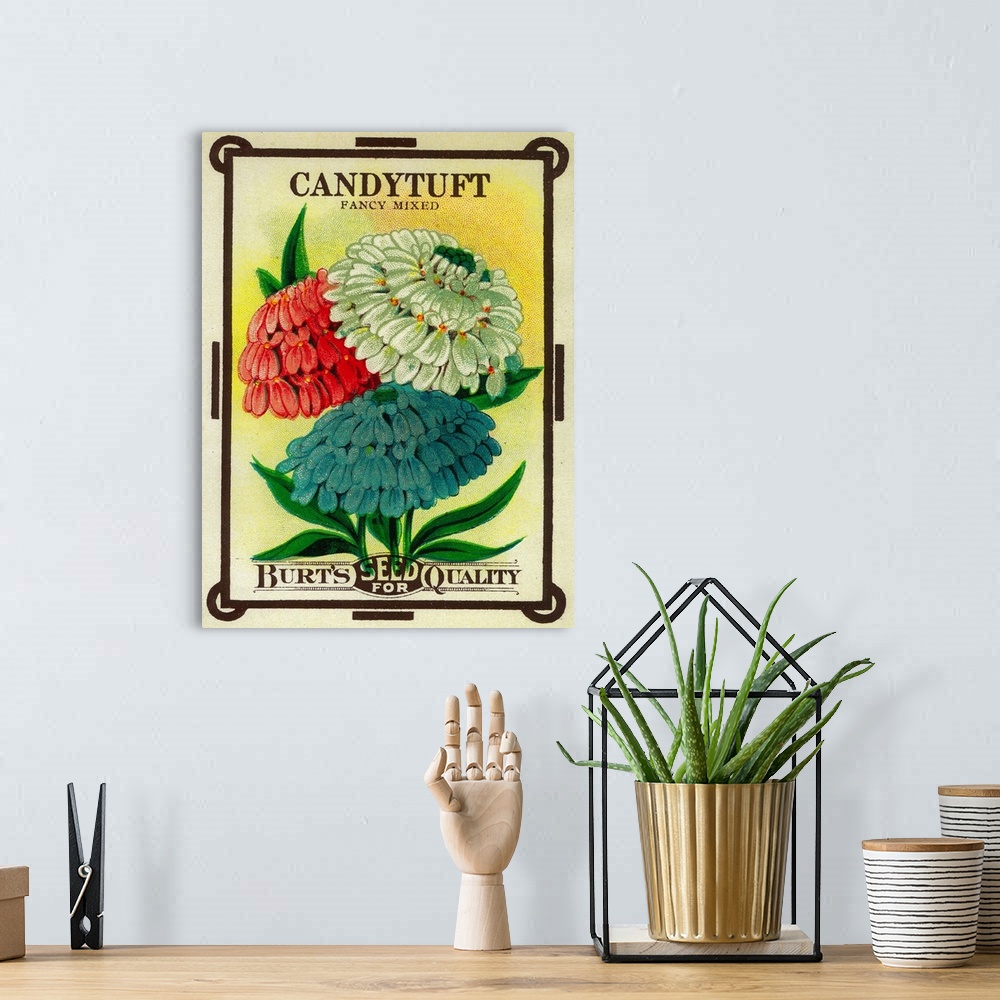 A bohemian room featuring A vintage label from a seed packet for Candytuft.