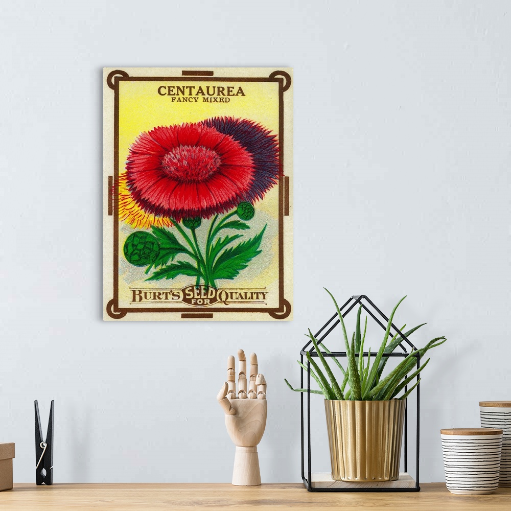 A bohemian room featuring A vintage label from a seed packet for knapweeds.