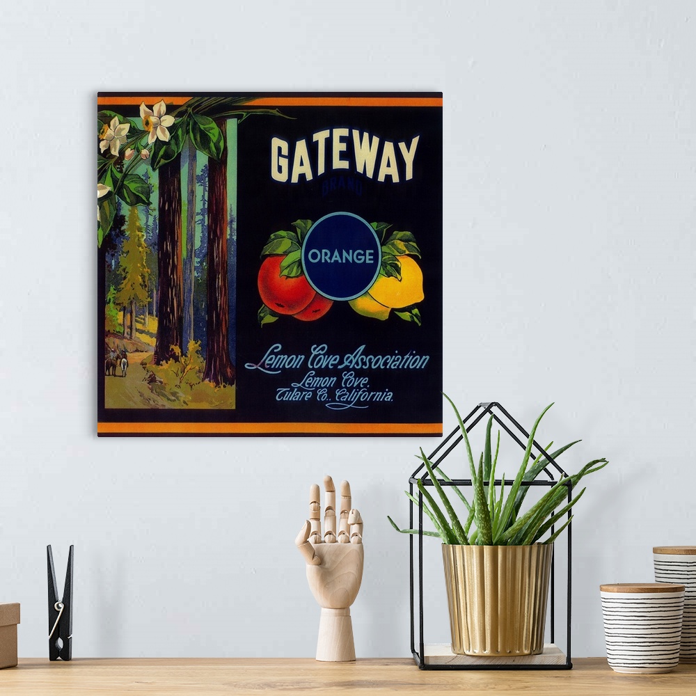 A bohemian room featuring Gateway Orange Label, Lemon Cove, CA