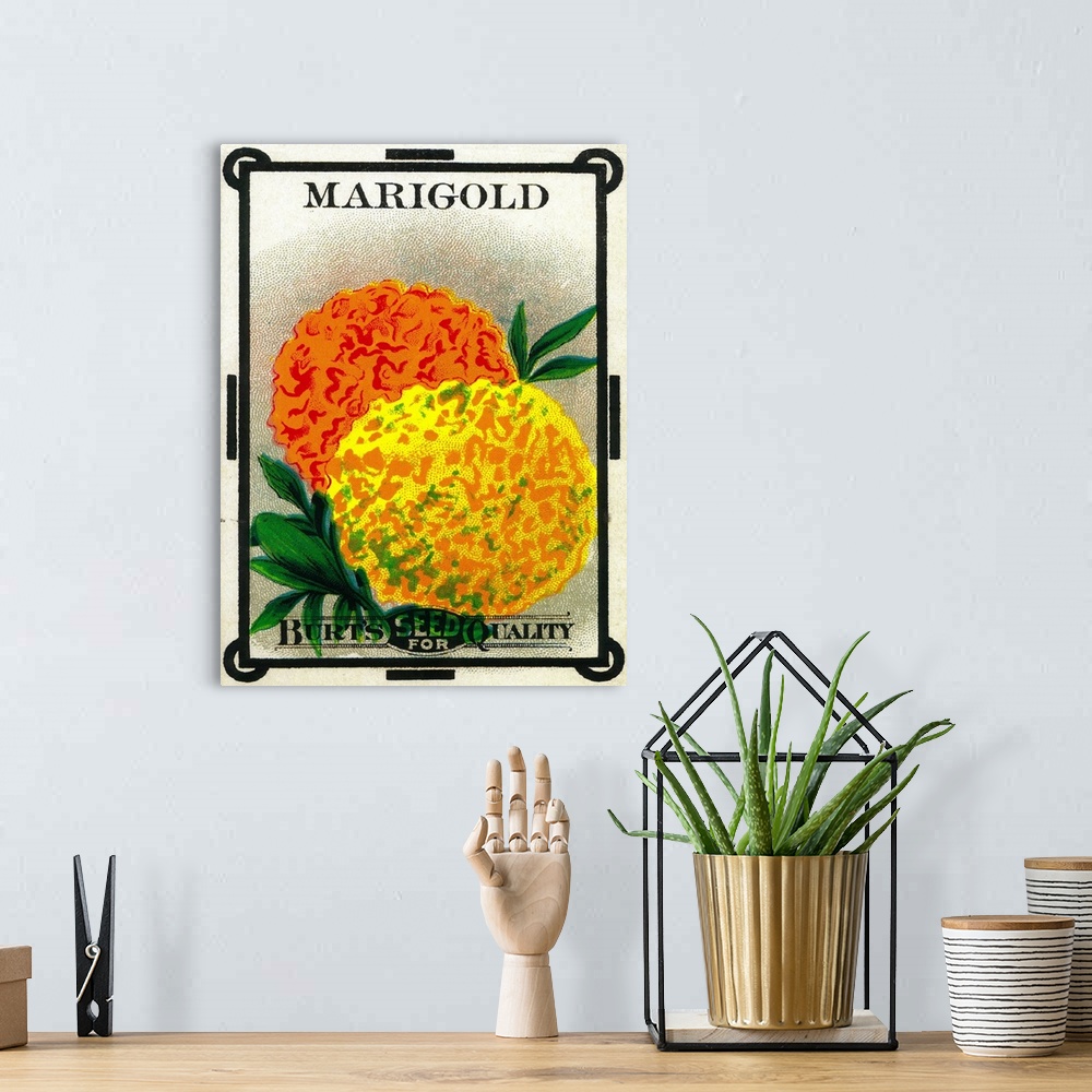 A bohemian room featuring A vintage label from a seed packet for marigolds.
