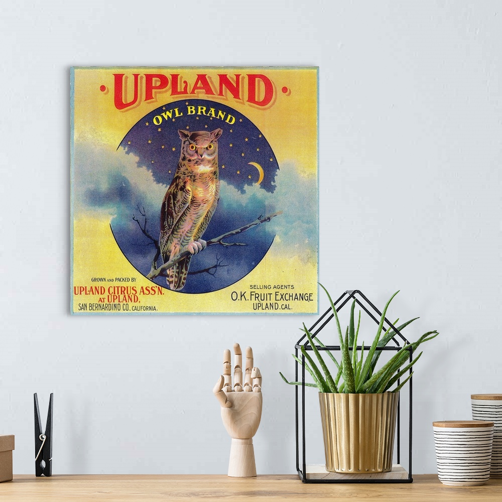 A bohemian room featuring Owl Orange Label, Upland, CA