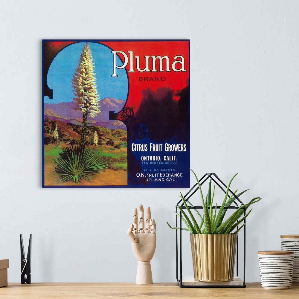 A bohemian room featuring Pluma Orange Label, Upland, CA