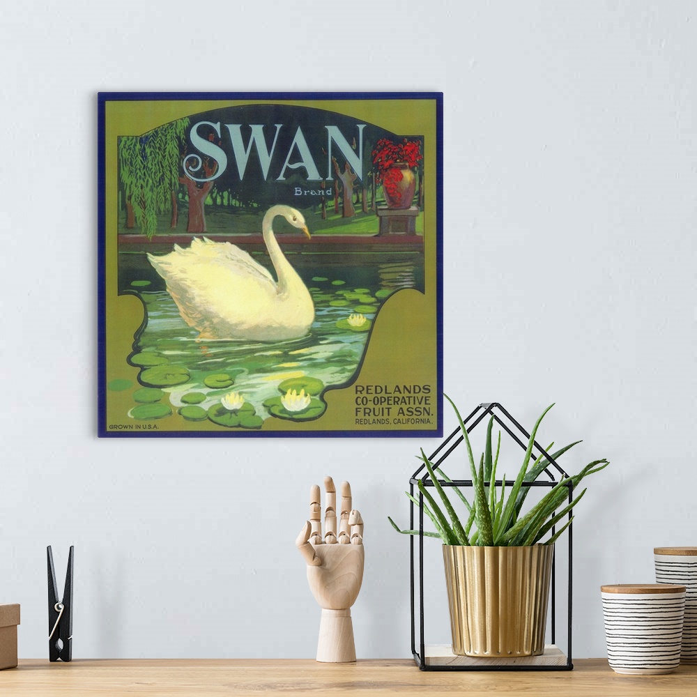 A bohemian room featuring Swan Orange Label, Redlands, CA