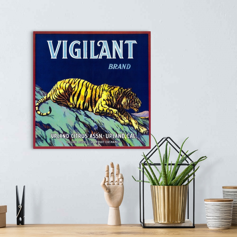 A bohemian room featuring Vigilant Orange Label, Upland, CA