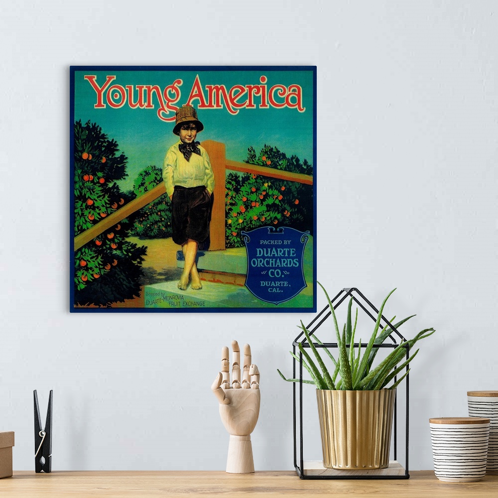 A bohemian room featuring Young America Orange Label, Duarte, CA
