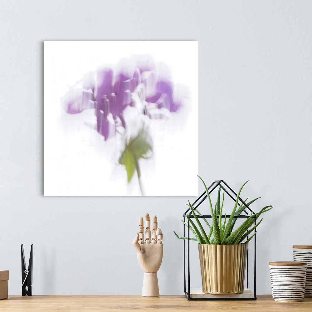 A bohemian room featuring Artistically blurred photo. The fluttering song of a flower in the wind.