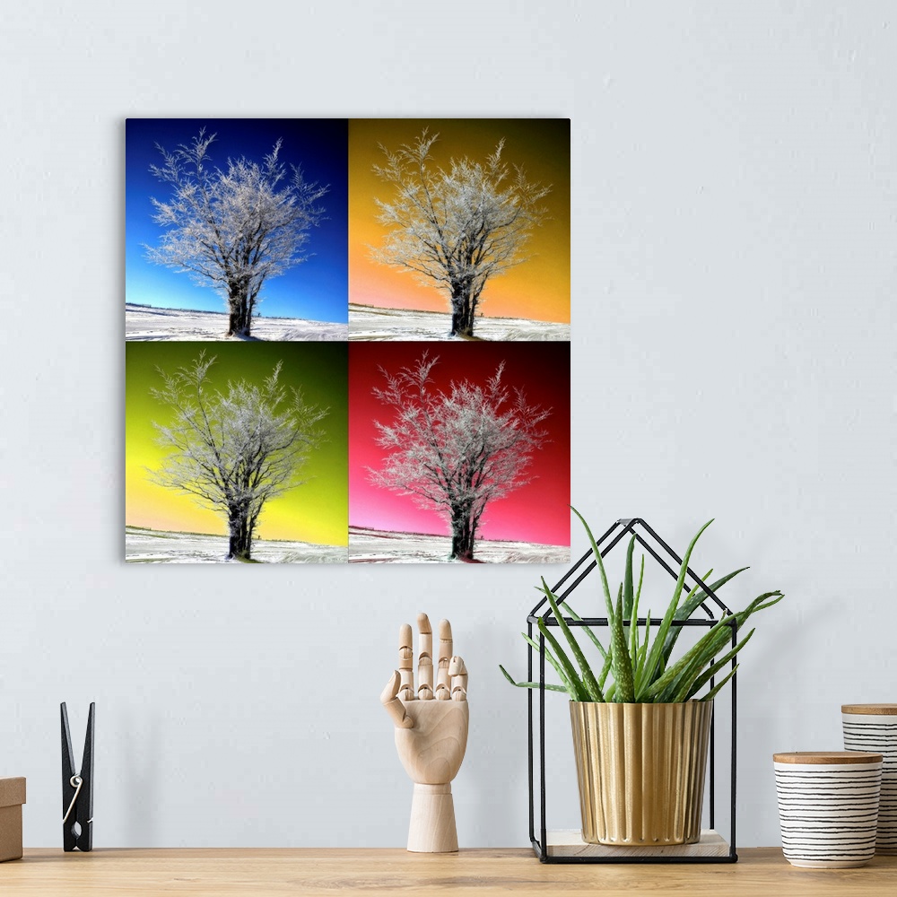 A bohemian room featuring This square photograph has been edited to have a pop art quality of a tree with a different color...
