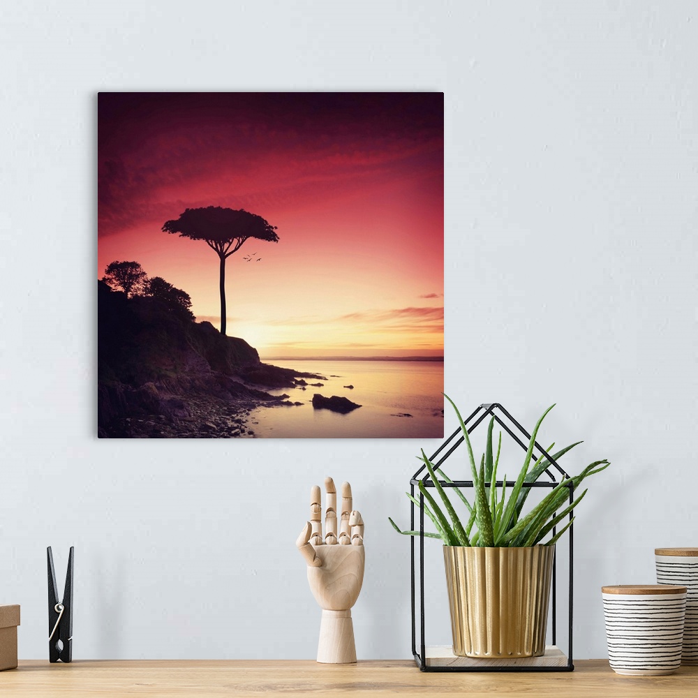 A bohemian room featuring Photograph of a silhouetted lone tree on a rocky shoreline at sunset.