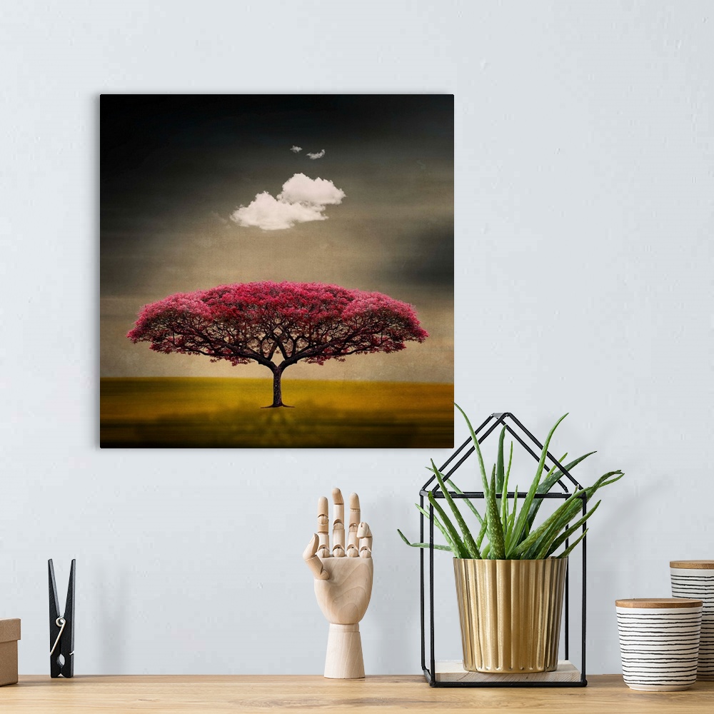 A bohemian room featuring This art work is a digital composite of a symmetrical flowering tree with a fluffy cloud floating...
