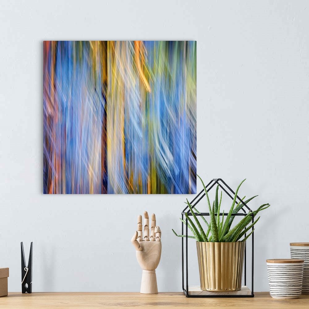 A bohemian room featuring Abstract blurred motion image in yellow and blue of a forest of pine trees.