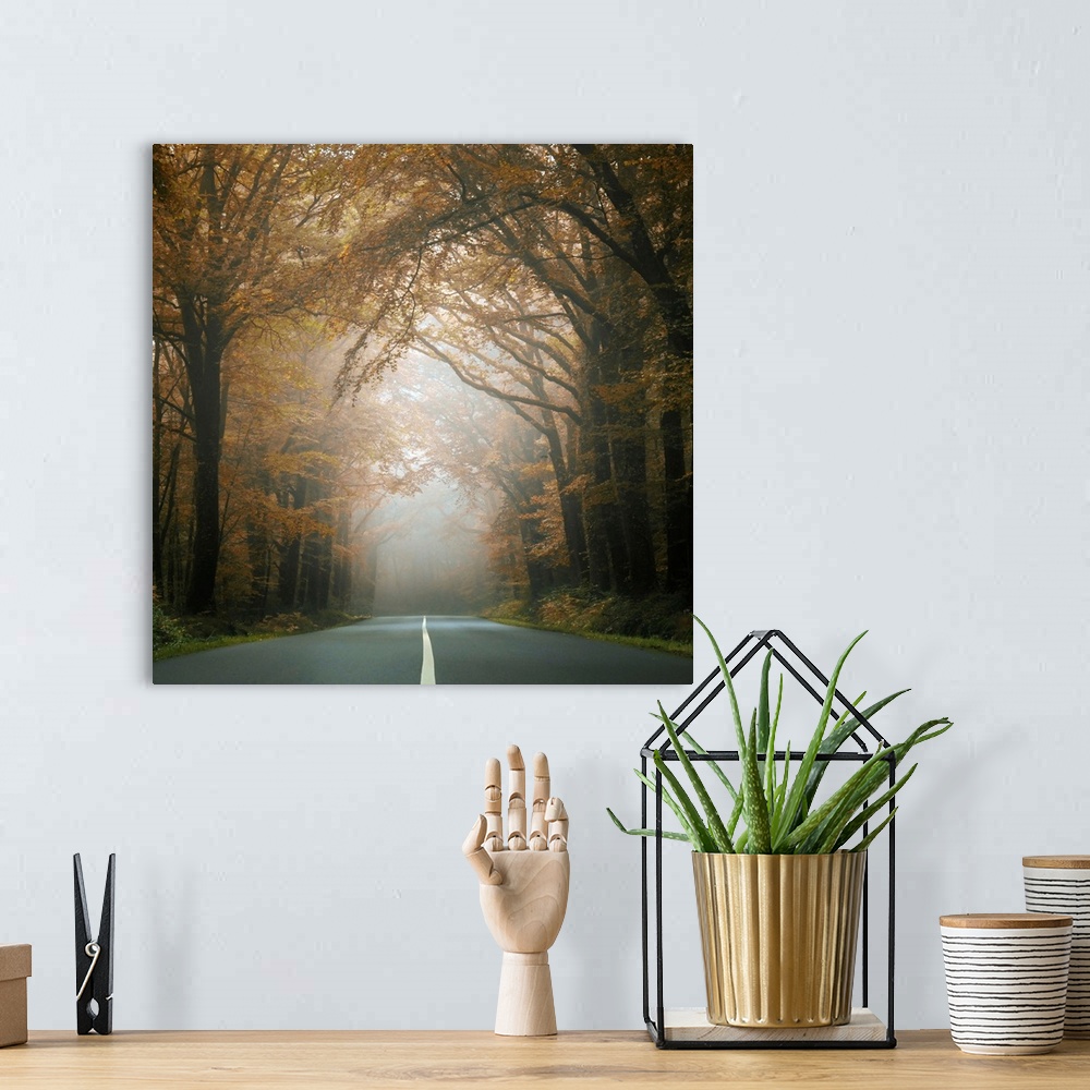 A bohemian room featuring Square picture of a road crossing the forest behind dark trees at fall.